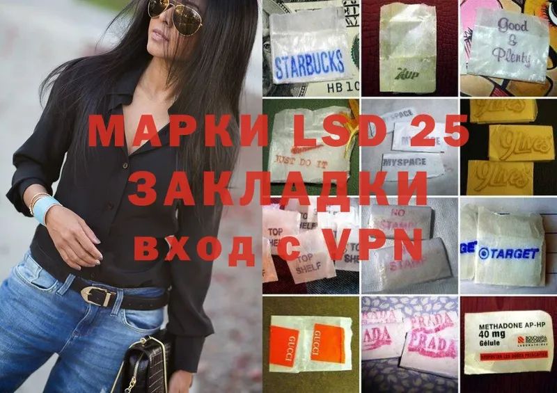 Магазины продажи наркотиков Шатура Псилоцибиновые грибы  A-PVP  Мефедрон  МАРИХУАНА 